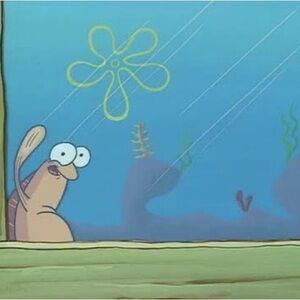 Meet your Posher, Chumbo